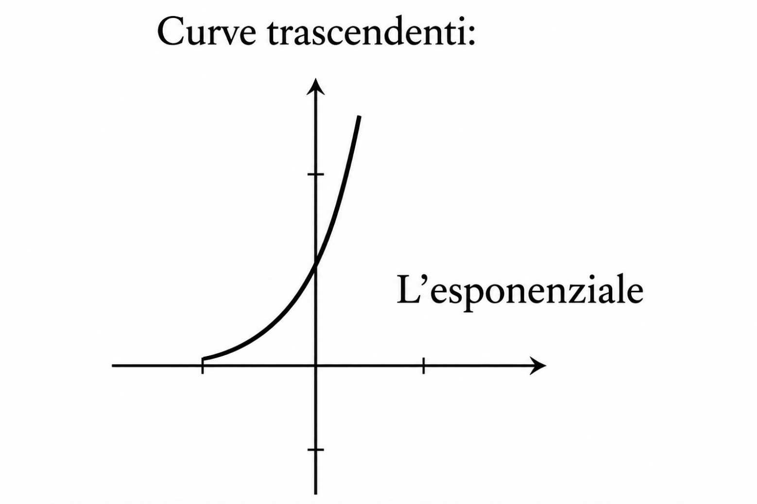 Curva