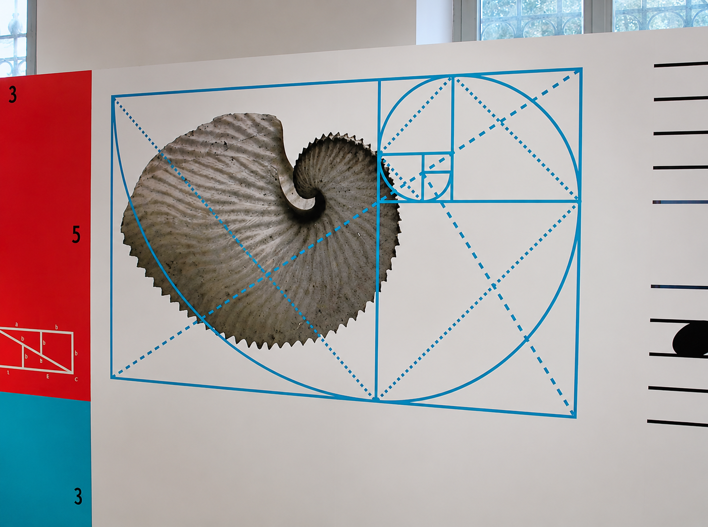 Sezione dedicata alla spirale